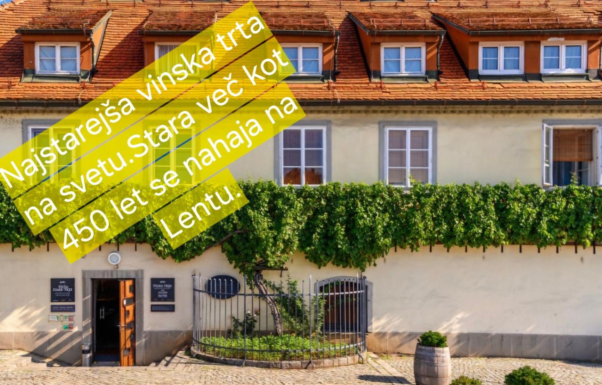 Apartment Dolce Vita Марібор Екстер'єр фото